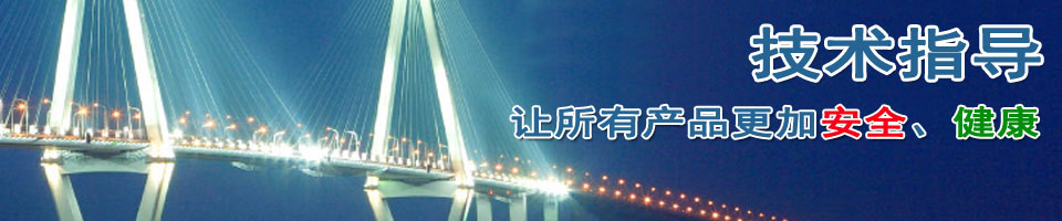 技术指导